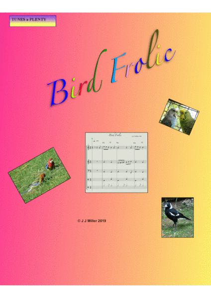 Bird Frolic image number null