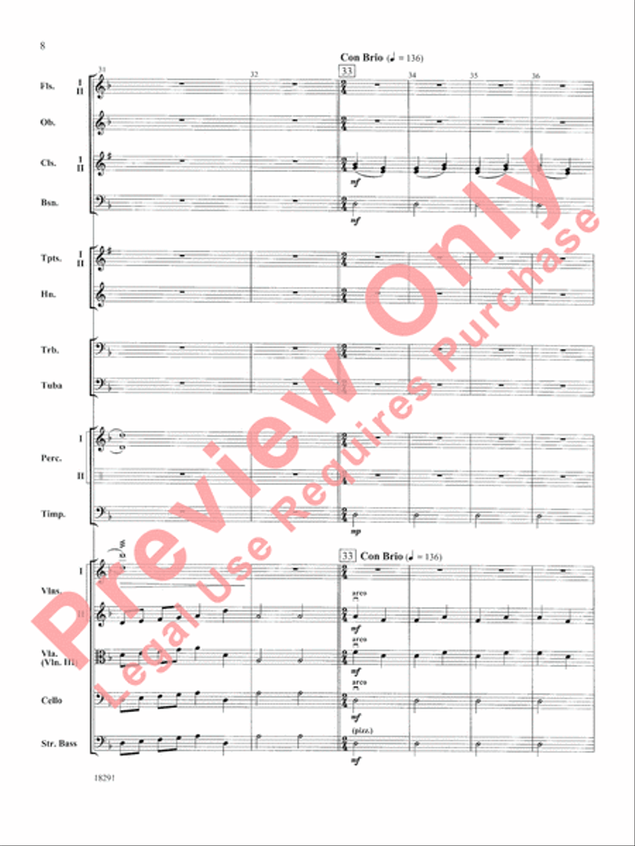 Hungarian Air and Dance Full Orchestra scores gallery preview page 9