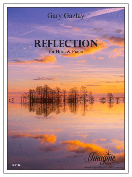 Reflections image number null