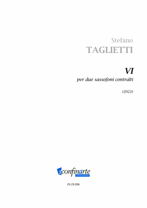 Book cover for Stefano Taglietti: VI (ES-23-036)