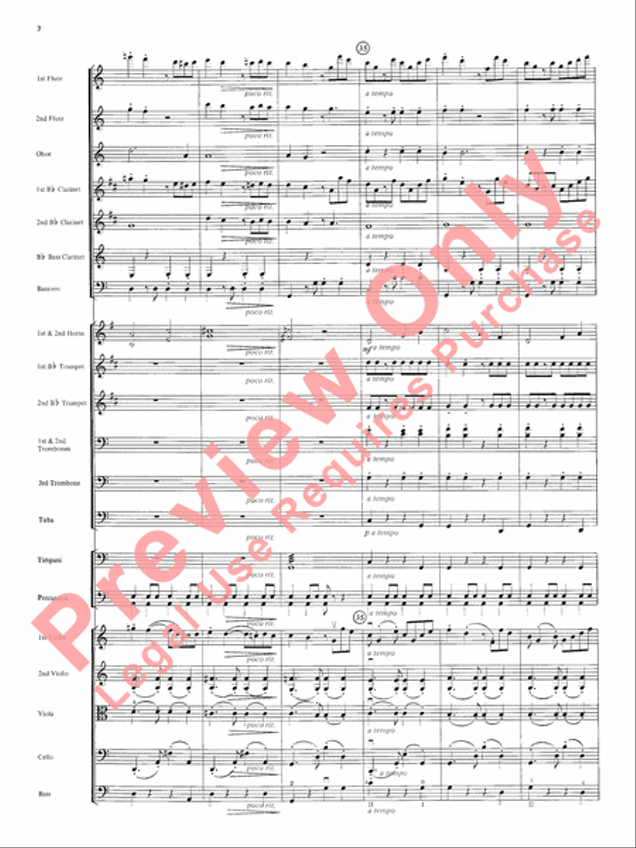 Two South American Tangos Full Orchestra scores gallery preview page 9