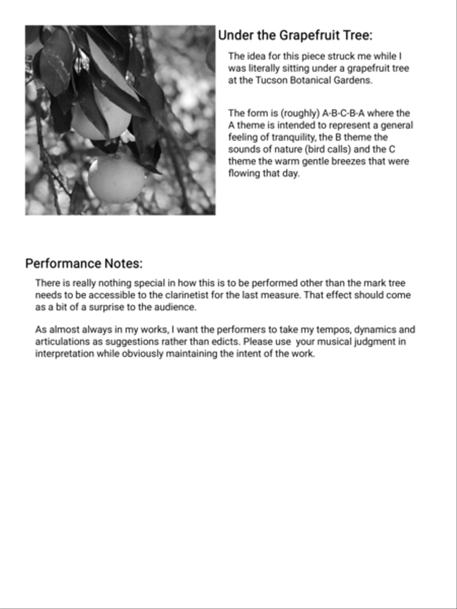 Under the Grapefruit Tree B-Flat Clarinet scores gallery preview page 2