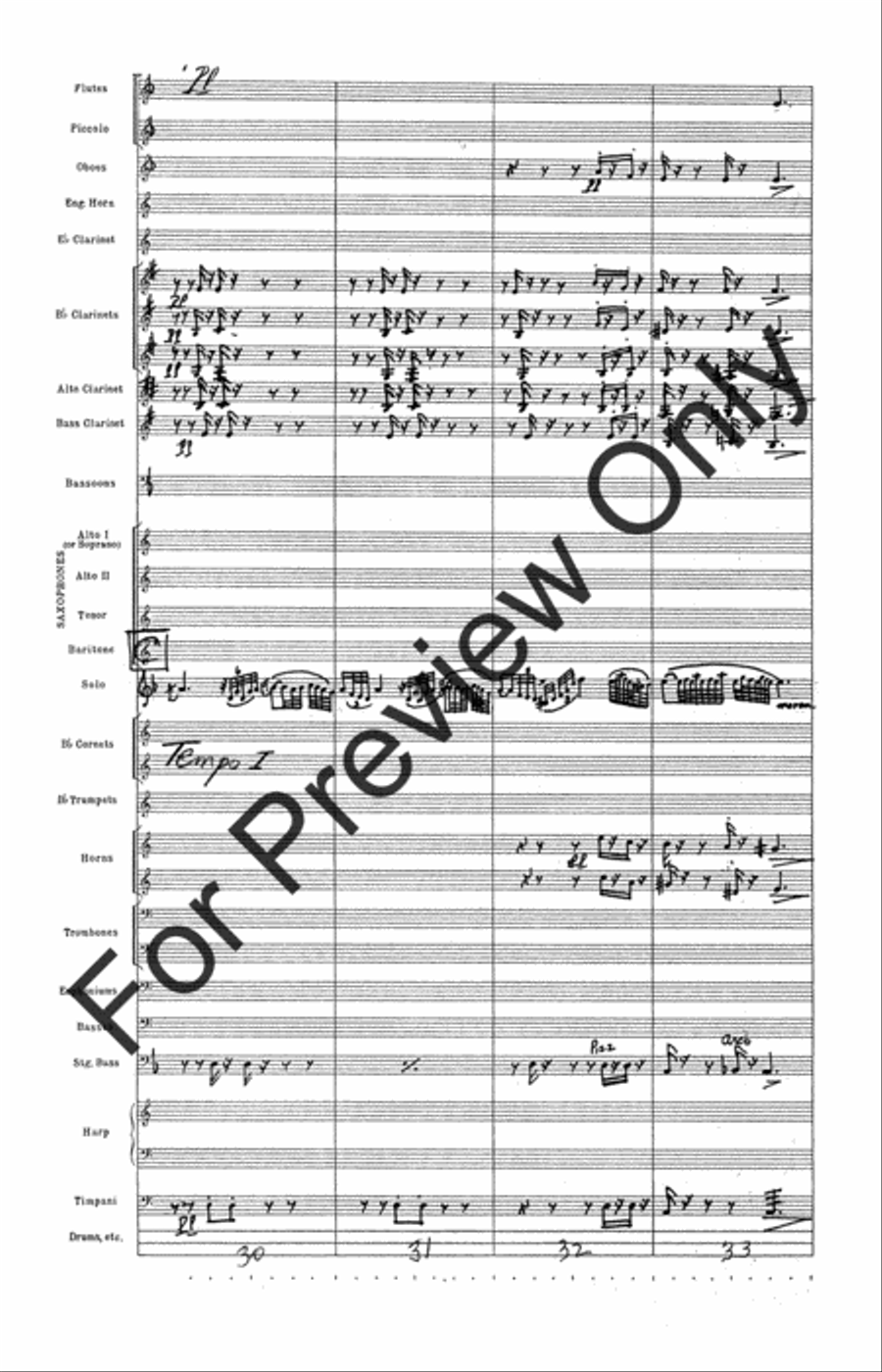 Fantasie Pastoral Hongroise (Score) Concert Band scores gallery preview page 13