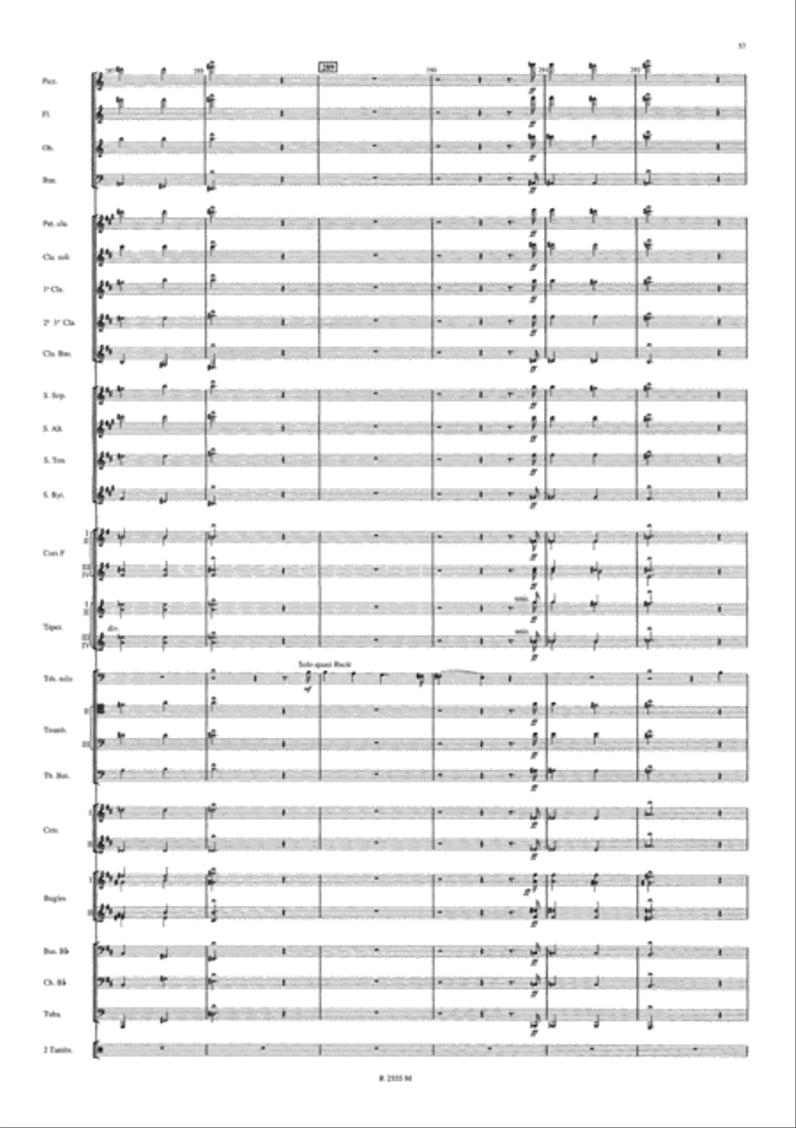 Symphonie Funebre et Triomphale Concert Band scores gallery preview page 21