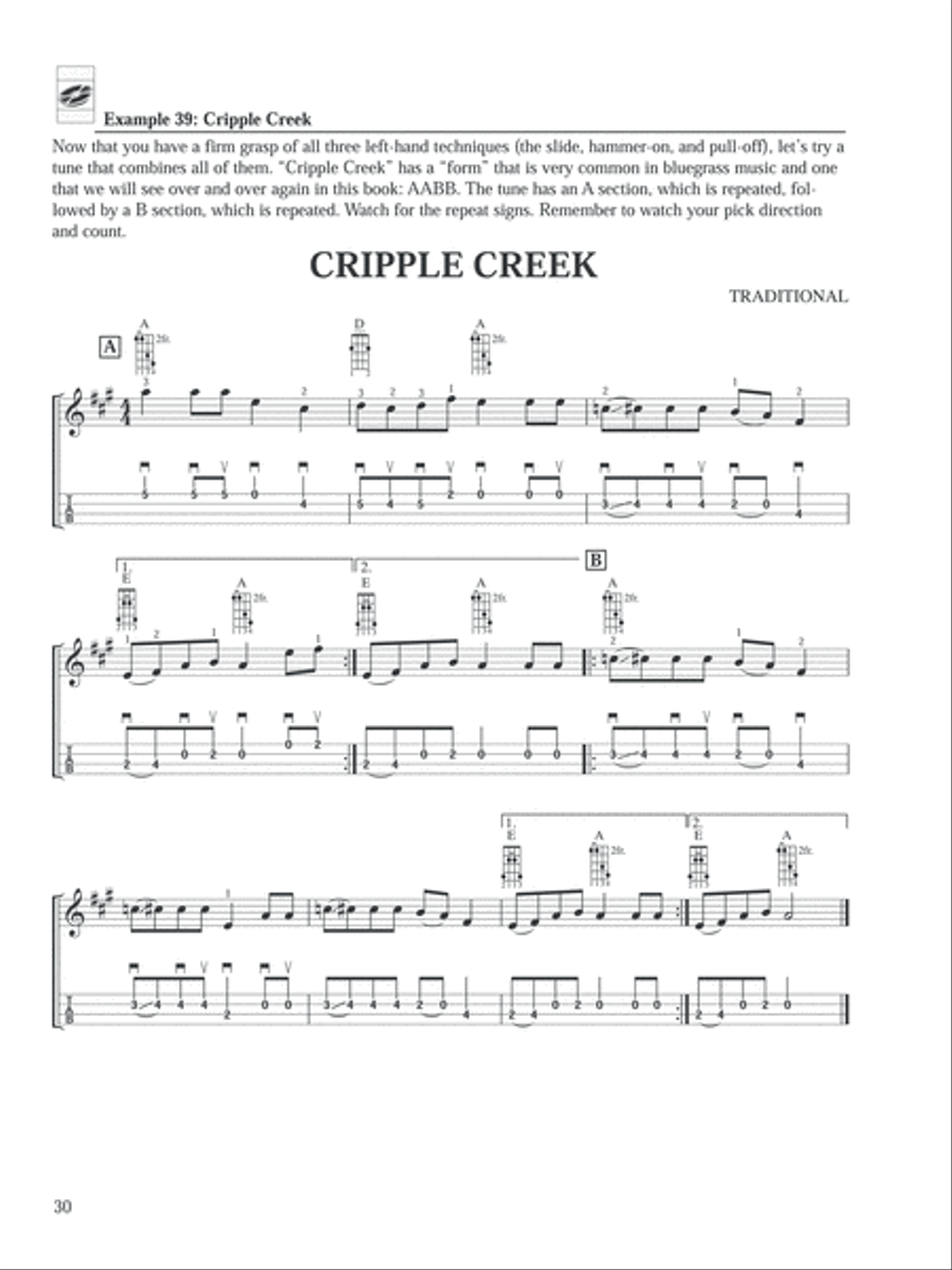 Ultimate Beginner Bluegrass Mandolin Basics Bluegrass Fiddle scores gallery preview page 7