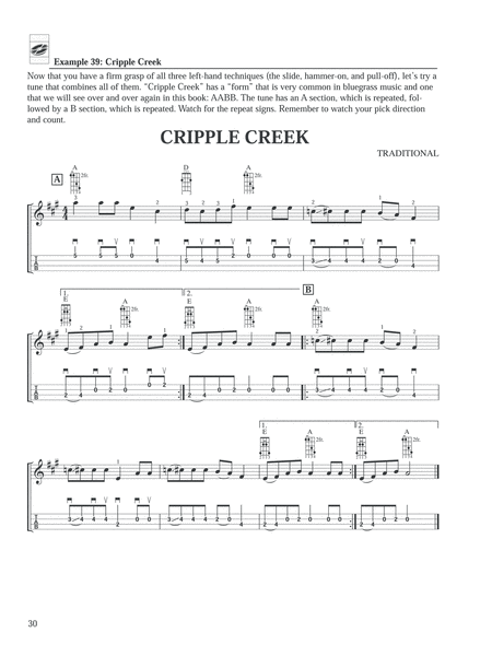 Ultimate Beginner Bluegrass Mandolin Basics image number null