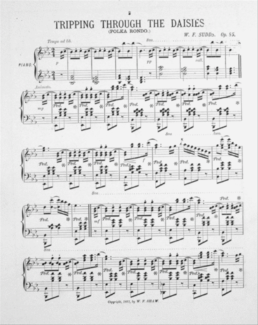 Tripping Thro' the Daisies. Polka Rondo Piano Solo scores gallery preview page 2