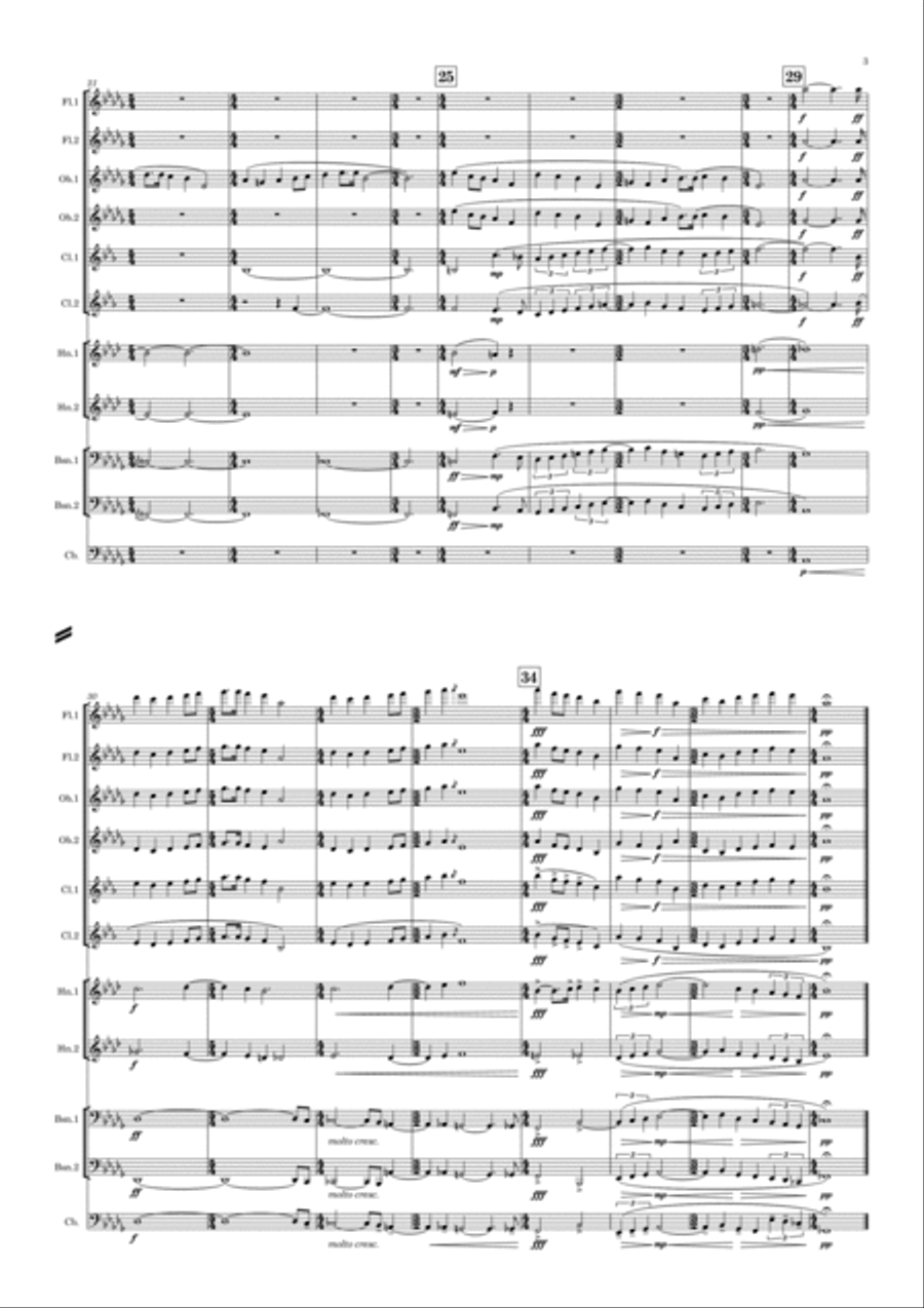 Grainger: Two Mvts. from “Lincolnshire Posy” - symphonic winds Woodwind Quintet scores gallery preview page 4