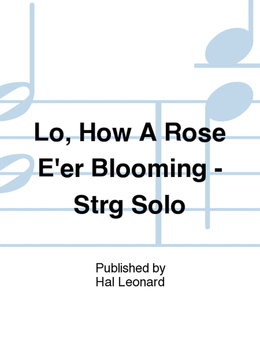 Lo, How A Rose E'er Blooming - Strg Solo
