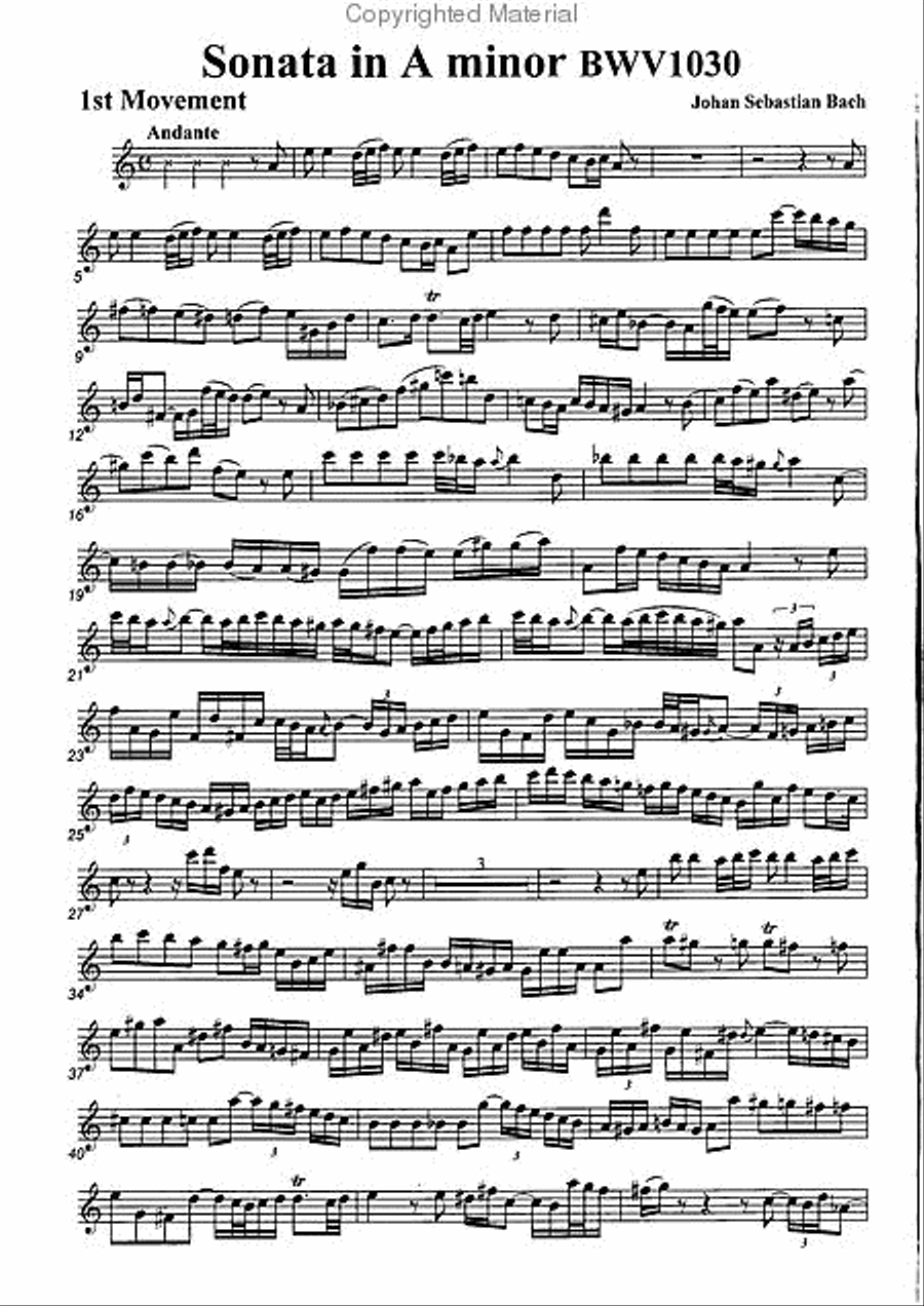 Sonata in A minor, BWV1030 Alto Recorder scores gallery preview page 2