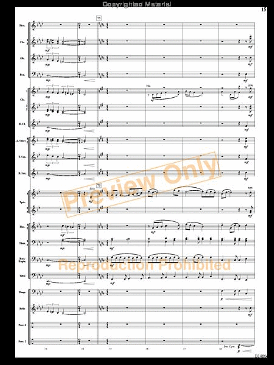 An American Spectacular An American Spectacular Concert Band scores gallery preview page 14