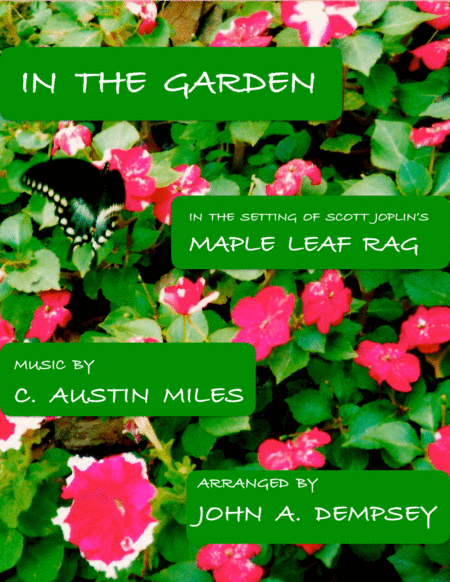 In the Garden / Maple Leaf Rag (Acoustic Guitar and Piano) image number null