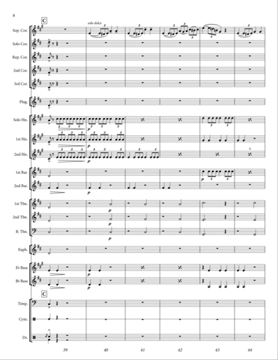 When The Foeman Bares His Steel (from Pirates of Penzance) Brass Band scores gallery preview page 9