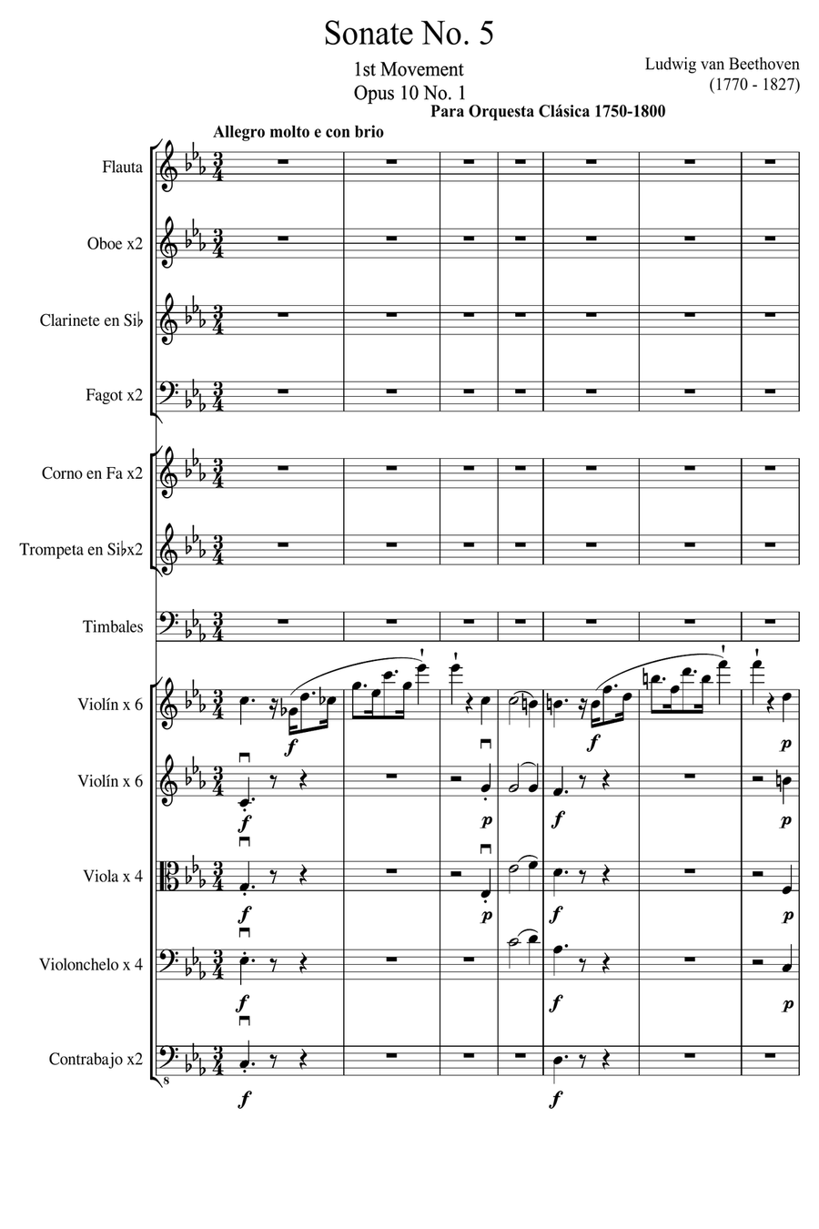 Sonate Nº5 1 º Mov. (Orchestration) Chamber Music scores gallery preview page 1