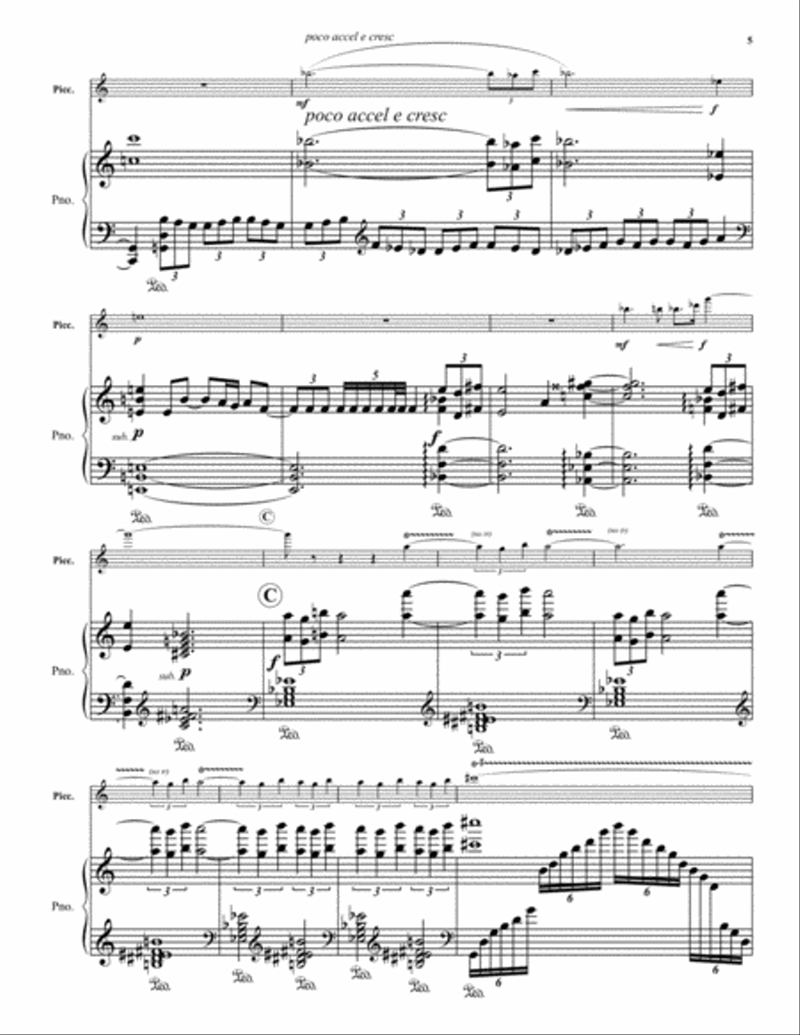 Concerto for Piccolo Piccolo scores gallery preview page 6