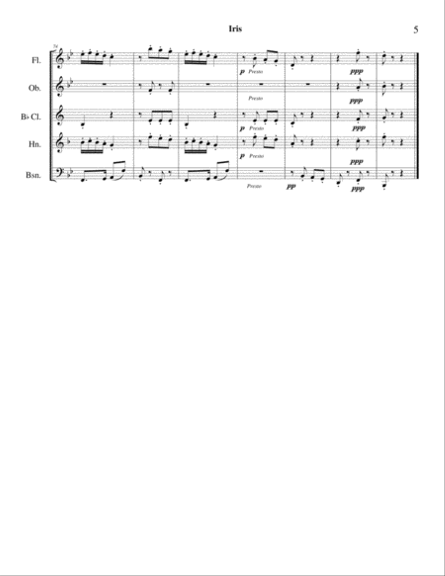 Iris Rag (E. Ephraim) - woodwind quintet Woodwind Quintet scores gallery preview page 5