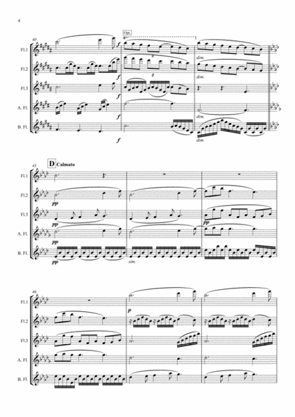 Debussy: Suite Bergamasque Mvt.3 Clair de Lune - flute quintet image number null