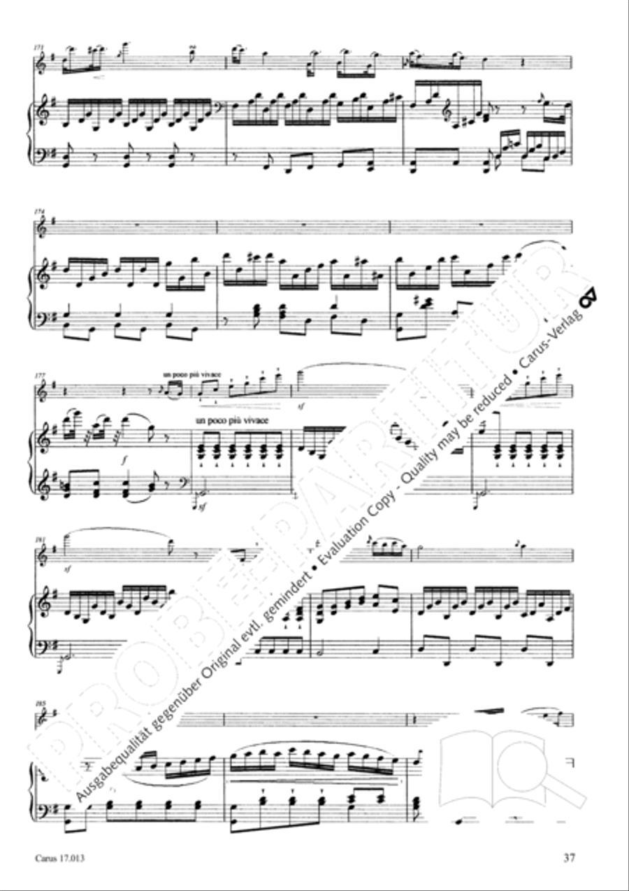 Sonate fur Querflote und Klavier Flute Solo scores gallery preview page 38