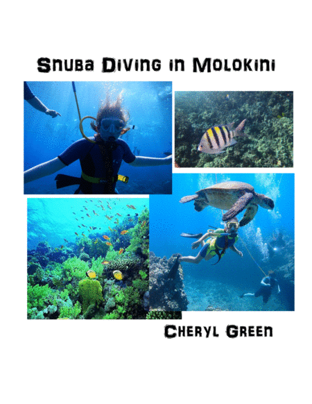 Snuba Diving in Molokini image number null