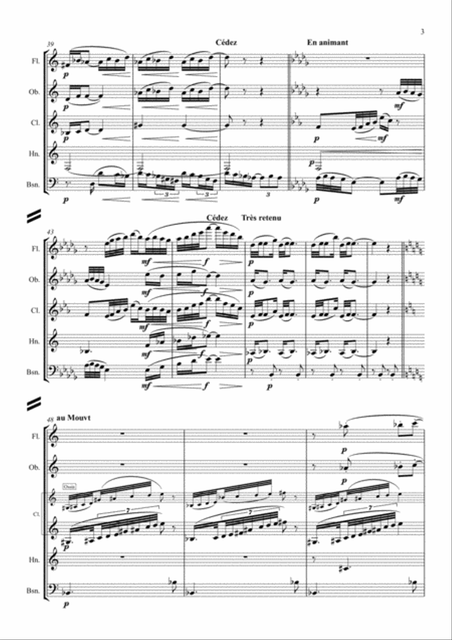 Debussy: Piano Preludes Bk.1 No.2 