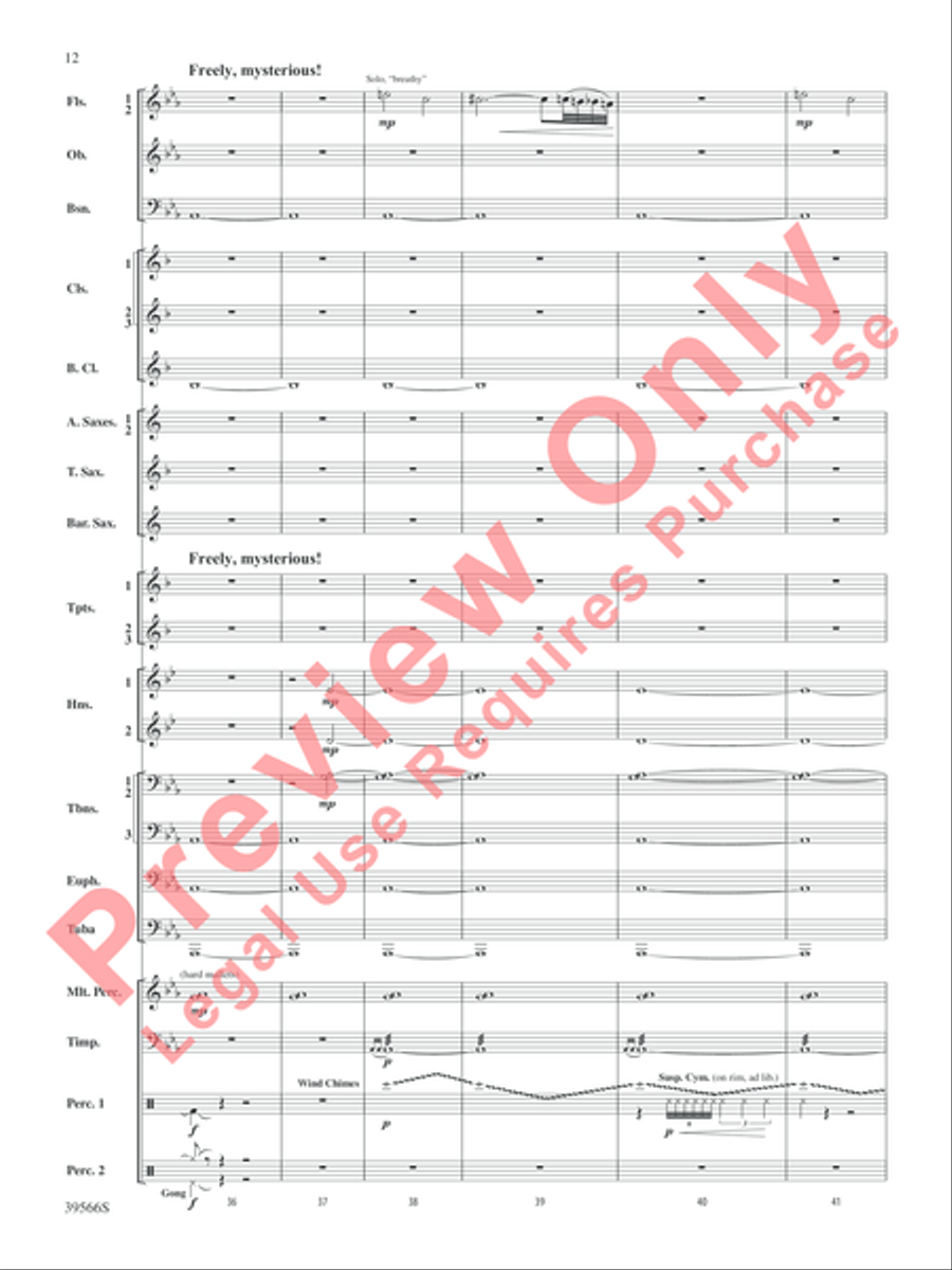 At the Movies with Danny Elfman Concert Band scores gallery preview page 13