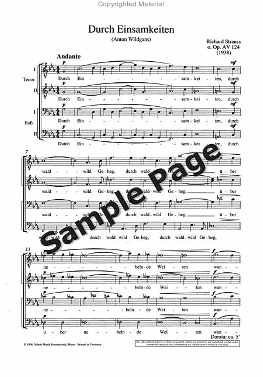 Durch Einsamkeiten TTBB scores gallery preview page 4