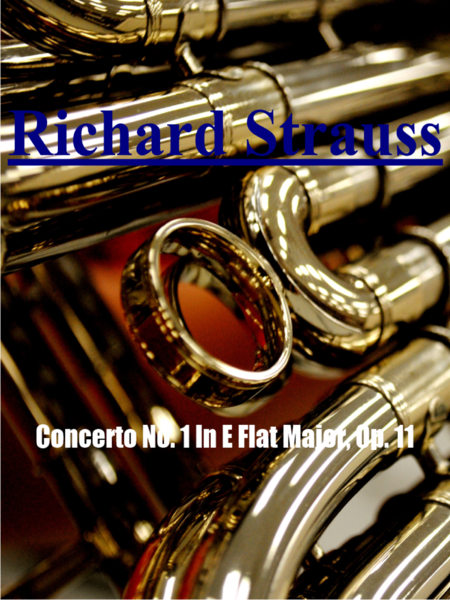 Richard Strauss - Horn Concerto No. 1  for horn and piano