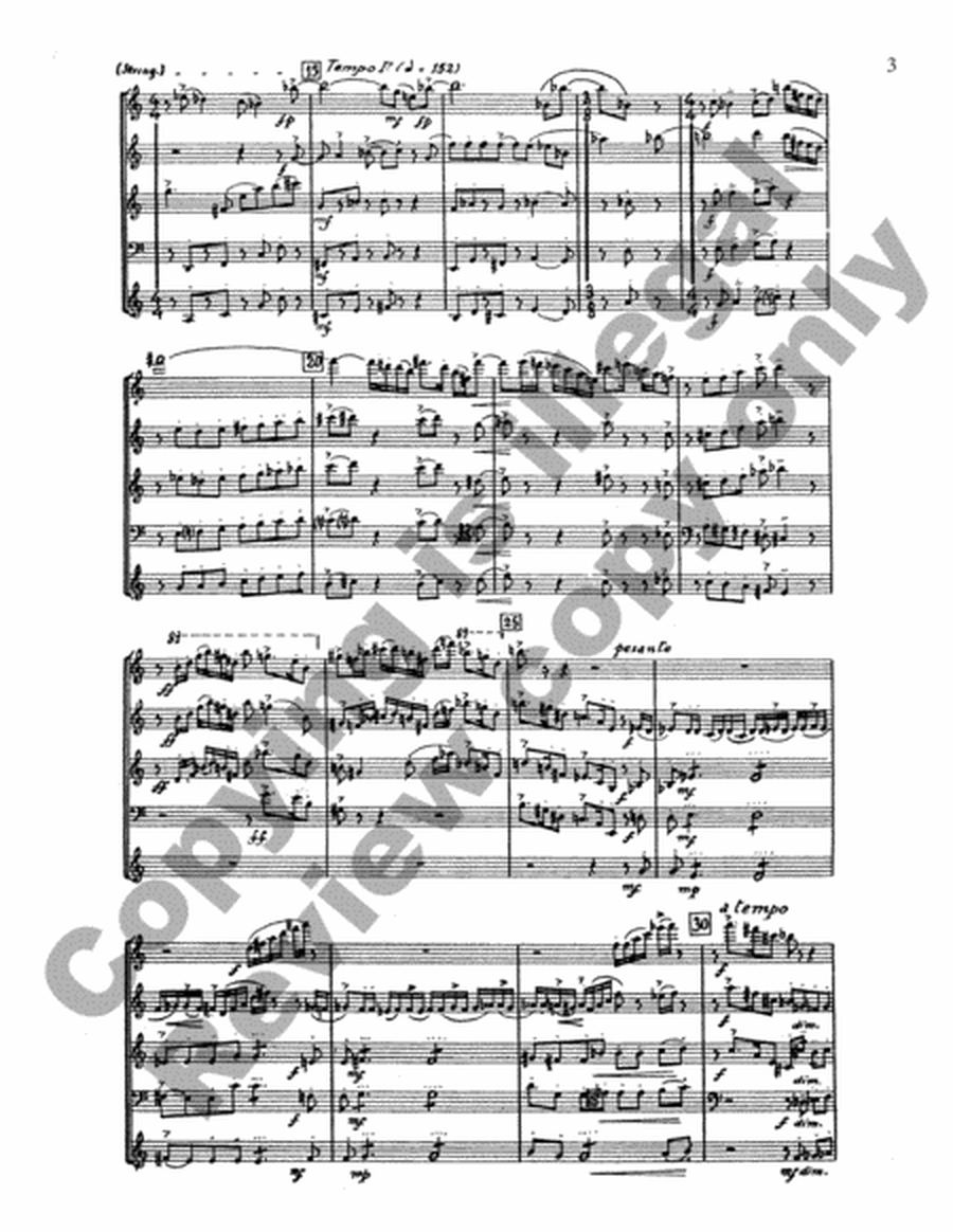 Concerto for Woodwind Quintet (Score)