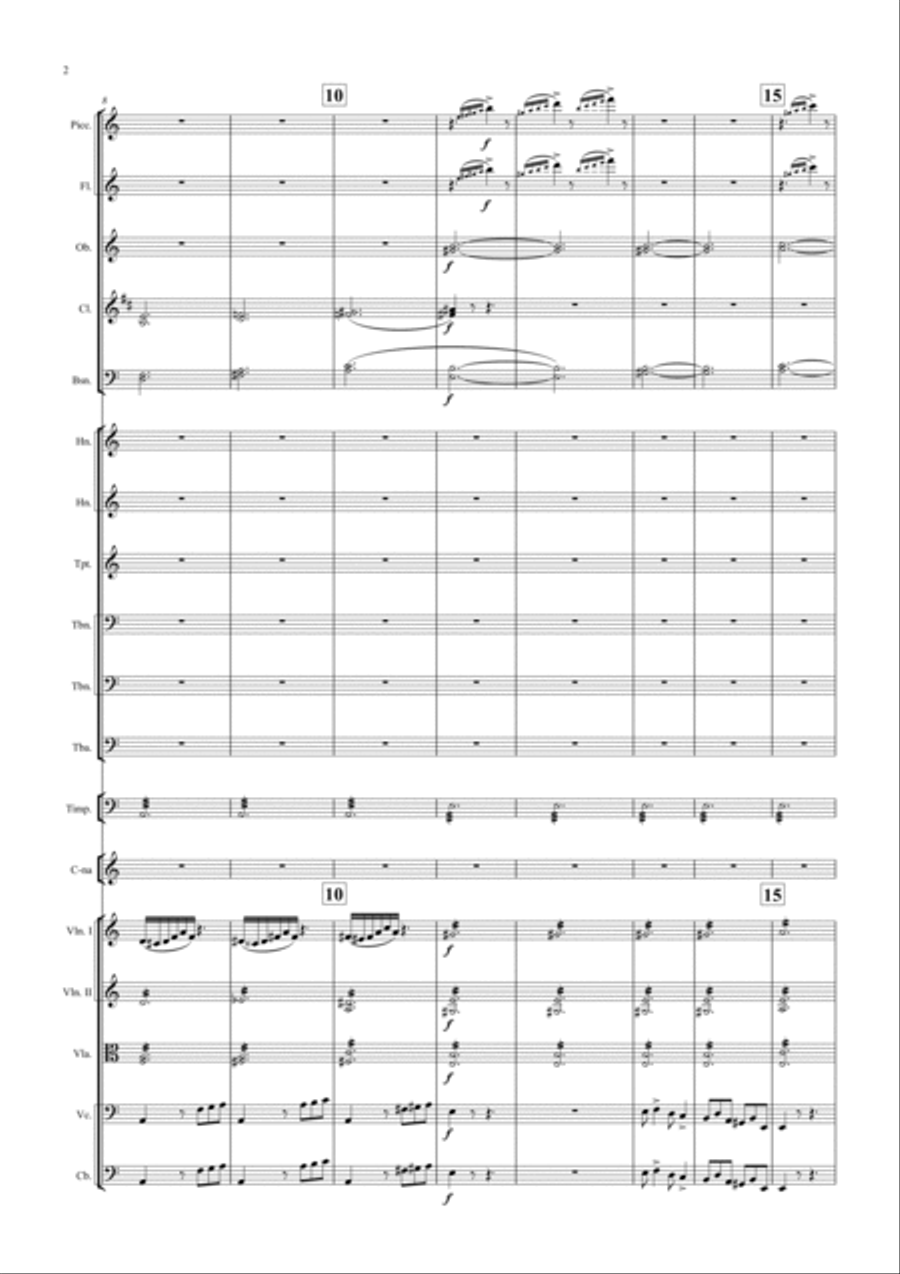 THE STORM Symphonic Picture Full Orchestra scores gallery preview page 2