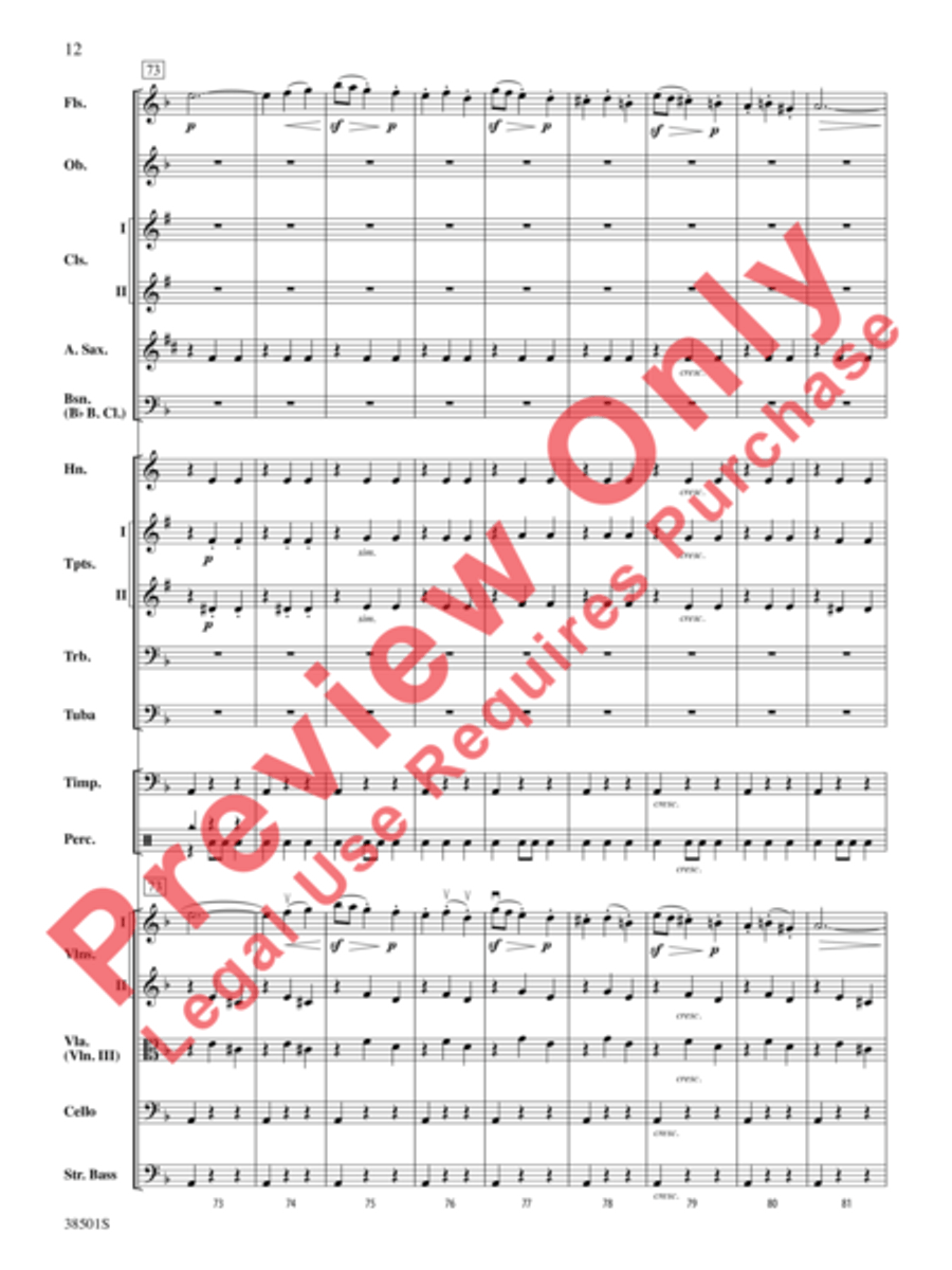 Aragonaise from Carmen Full Orchestra scores gallery preview page 13