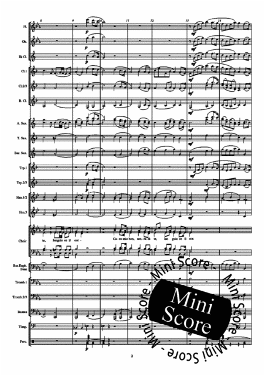 Caro Mio Ben Caro Mio Ben Concert Band scores gallery preview page 6