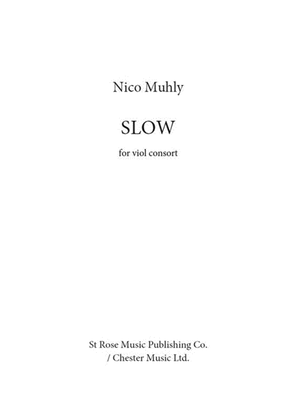 Book cover for Slow