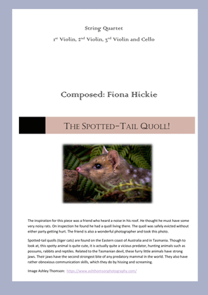 The Spotted-Tail Quoll!
