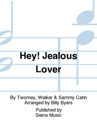 Book cover for Hey! Jealous Lover