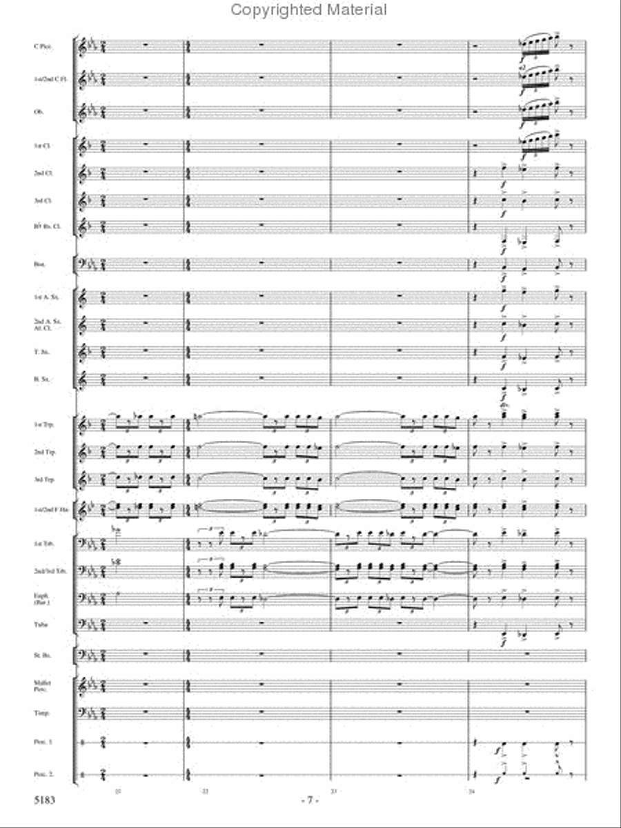 Portrait of Freedom Portrait of Freedom Concert Band scores gallery preview page 6