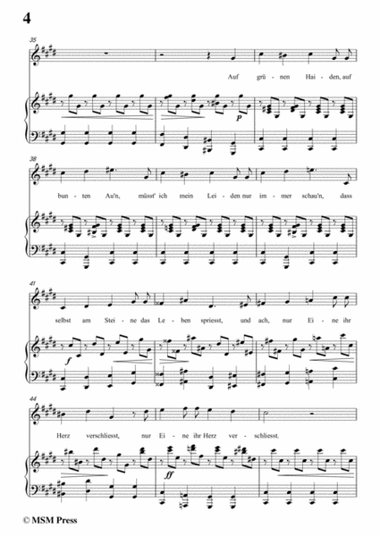 Schubert-Über Wildemann,in c sharp minor,Op.108 No.1,for Voice and Piano image number null