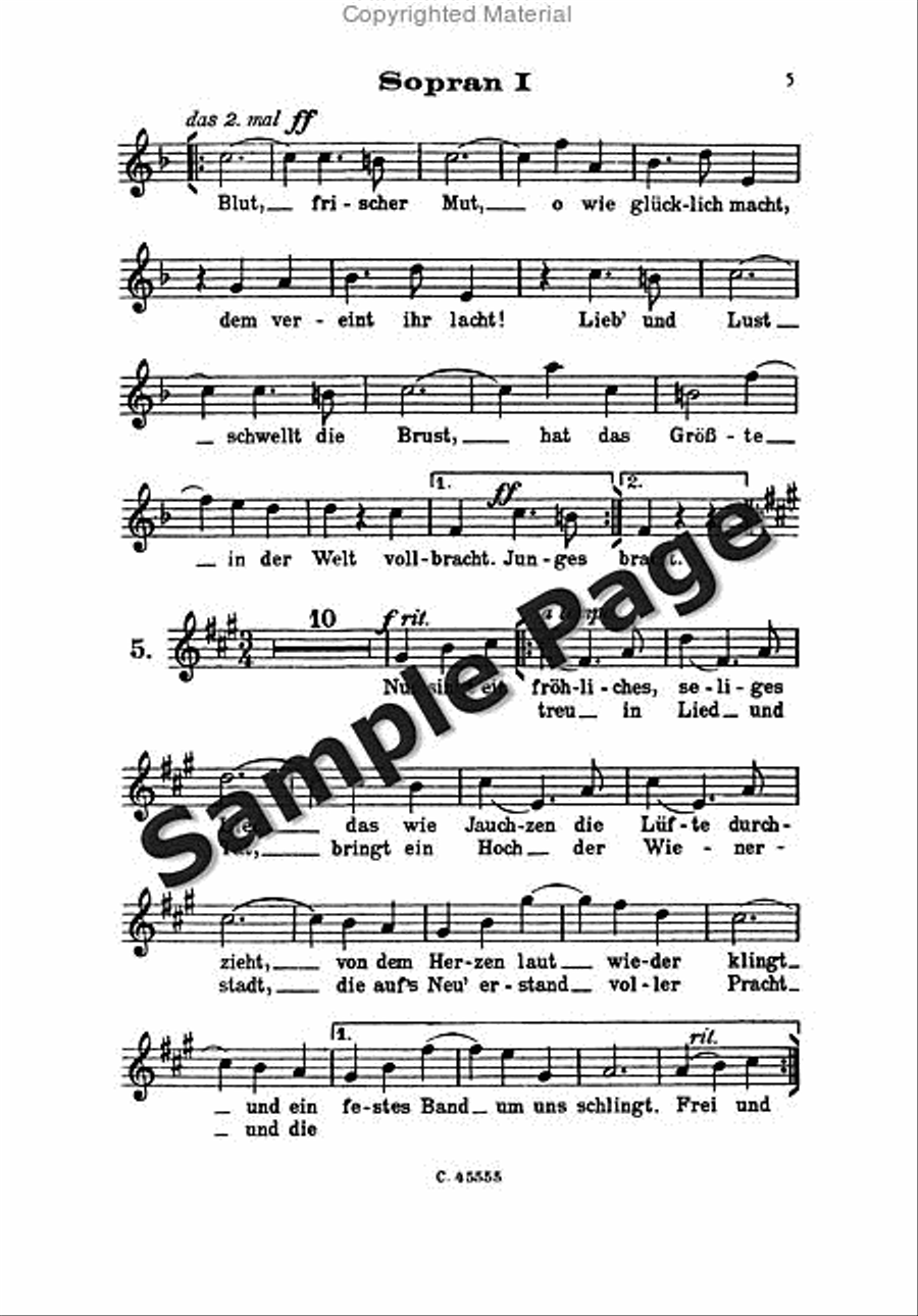 Strauss J Donauwalzer Op314 SMezA scores gallery preview page 6