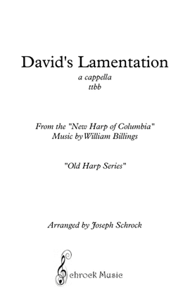 David's Lamentation