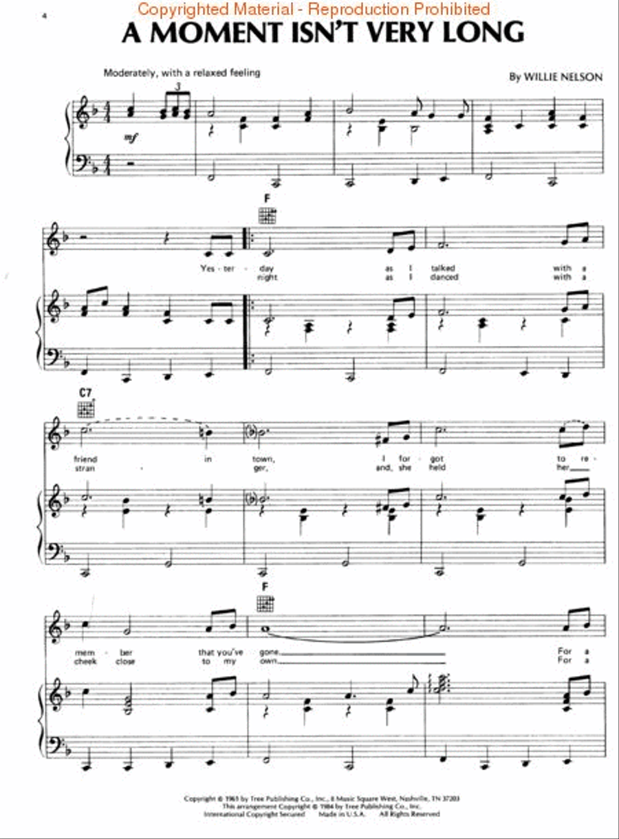 Willie Nelson – Just Plain Willie Piano, Vocal, Guitar scores gallery preview page 3