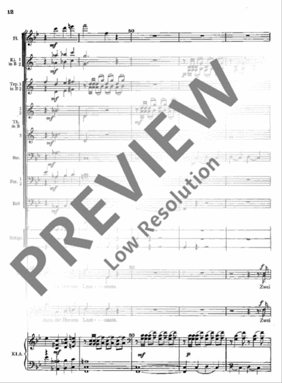 Die Musik kommt Die Musik kommt TTBB scores gallery preview page 12