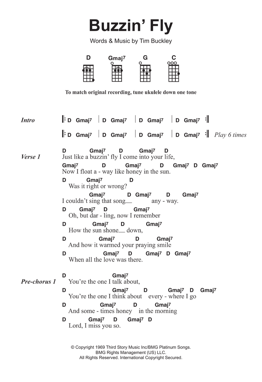 Buzzin' Fly Ukulele scores gallery preview page 1
