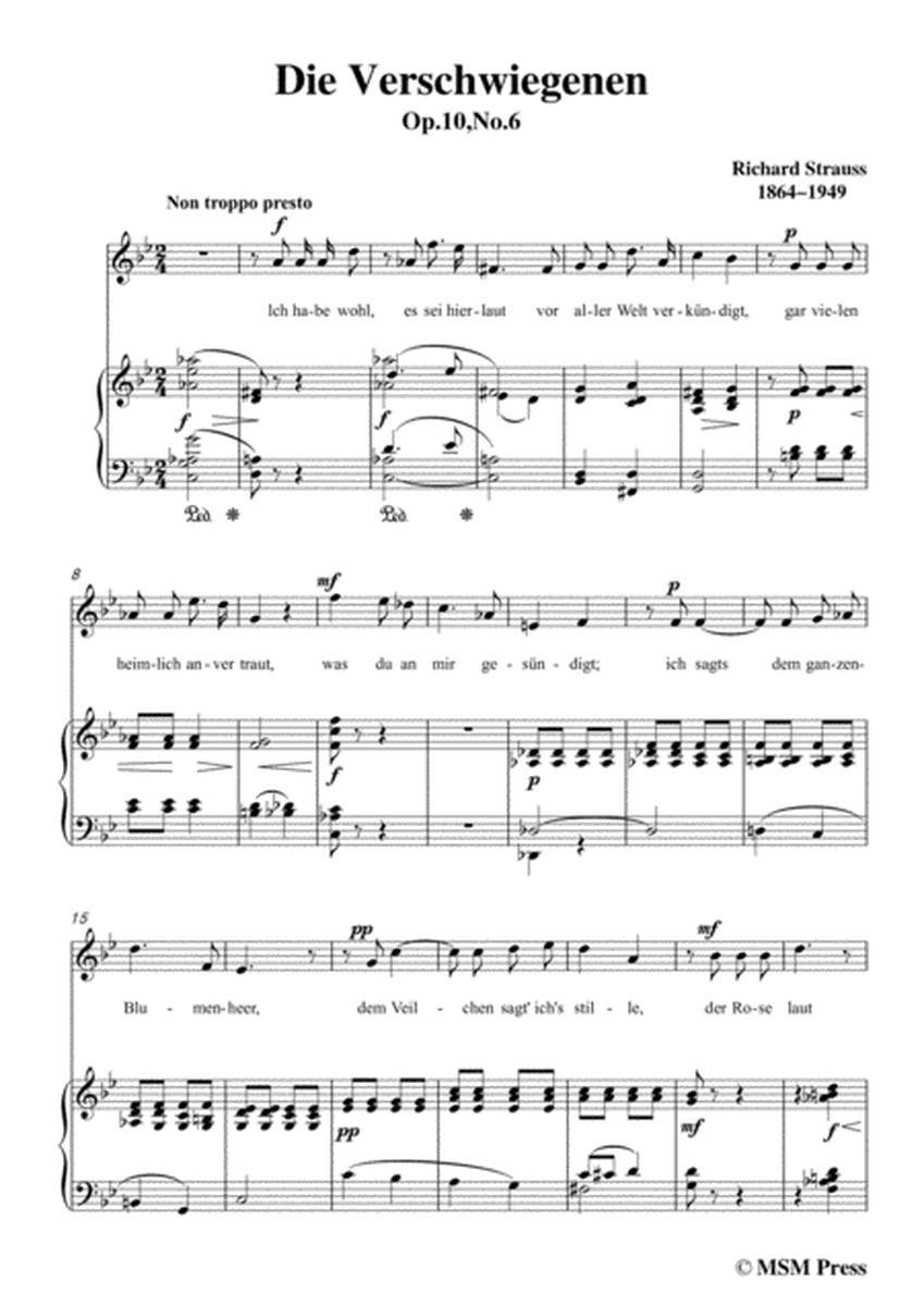 Richard Strauss-Die Verschwiegenen in g minor,for voice and piano image number null