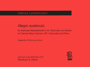 Book cover for Allegro sostenuto
