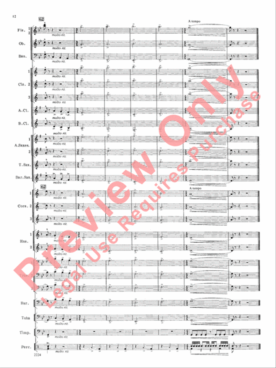 Flurry for Winds and Percussion Concert Band scores gallery preview page 13