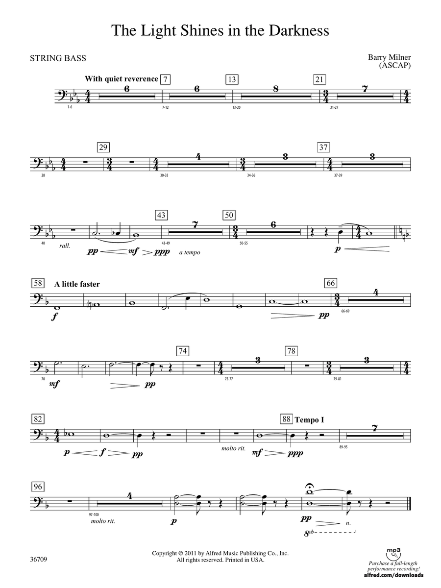 The Light Shines in the Darkness: (World Part) String Bass