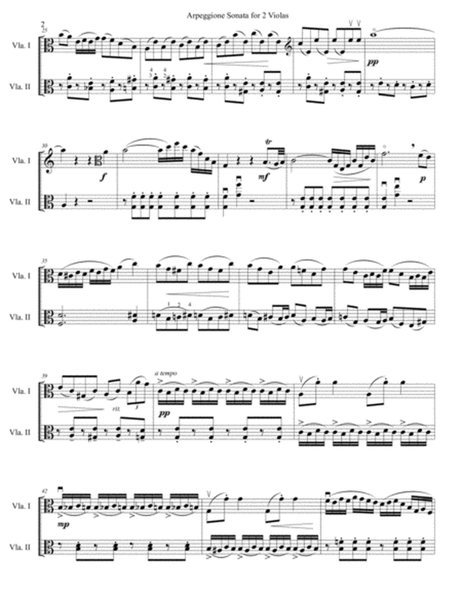 Arpeggione Sonata by Schubert (mvt 1) - for Viola Duet image number null