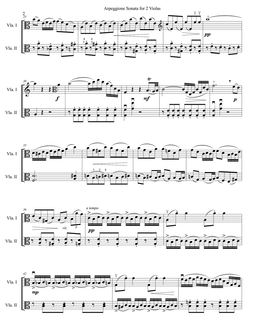 Arpeggione Sonata by Schubert (mvt 1) - for Viola Duet String Duet scores gallery preview page 2