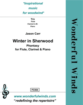 Book cover for Winter In Sherwood