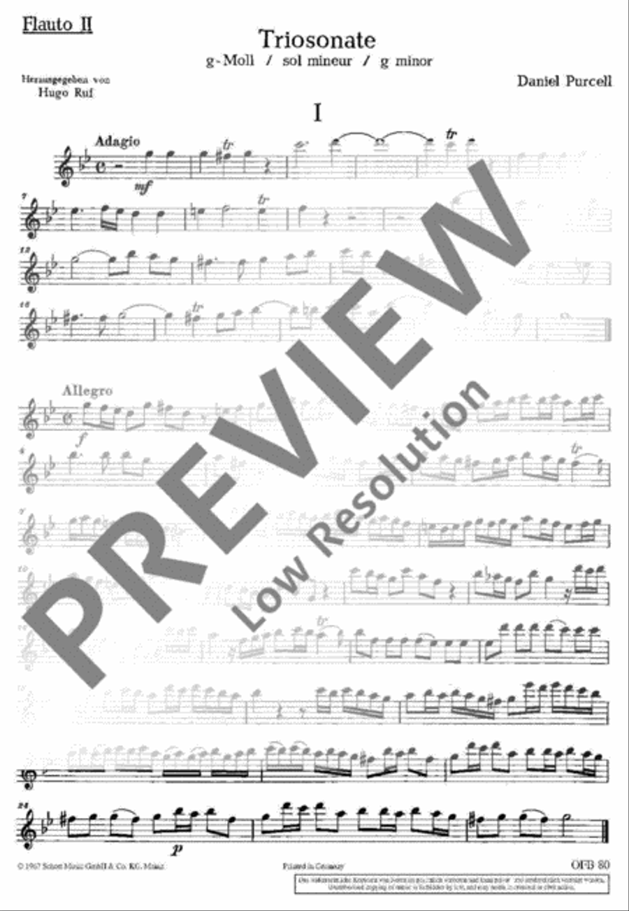 Triosonate G minor Triosonate G minor Alto Recorder scores gallery preview page 12