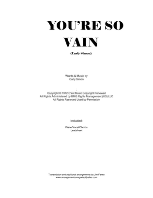 Book cover for You're So Vain
